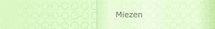 Miezen